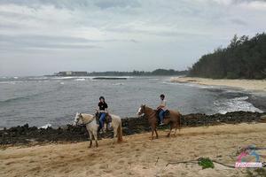 Original 1215 px/ 810 px