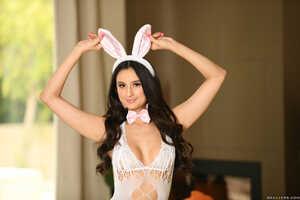 Original 2495 px/ 1663 px