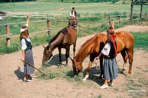 Original 3200 px/ 2123 px