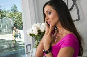 Original 2495 px/ 1663 px