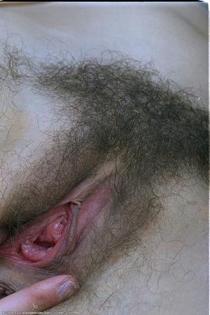 Original 682 px/ 1024 px