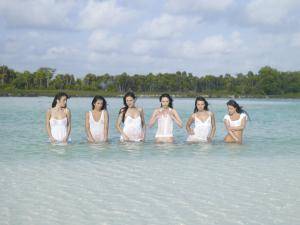 Original 6000 px/ 4500 px