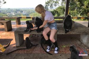 Original 3000 px/ 2000 px