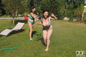 Original 2000 px/ 1331 px