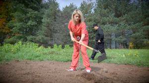 Original 1200 px/ 675 px