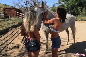 Original 1600 px/ 1066 px