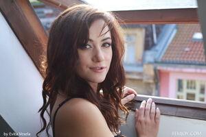 Original 5500 px/ 3667 px