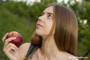 Original 2048 px/ 1365 px