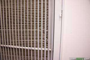 Original 1350 px/ 900 px