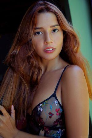 Original 1442 px/ 2162 px