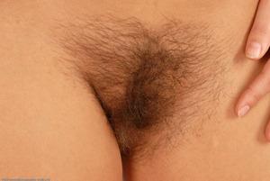 Original 1536 px/ 1028 px