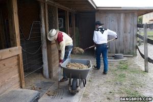 Original 800 px/ 533 px