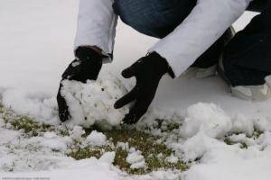 Original 1280 px/ 854 px