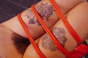 Original 6000 px/ 4000 px