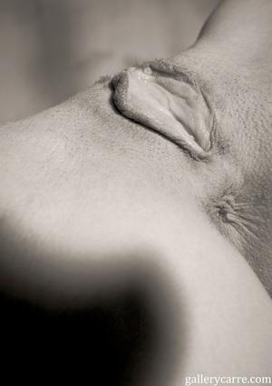 Original 3385 px/ 4800 px