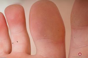 Original 3000 px/ 2001 px