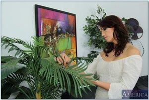 Original 850 px/ 571 px