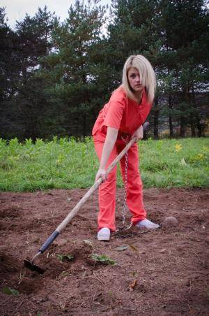 Original 795 px/ 1200 px