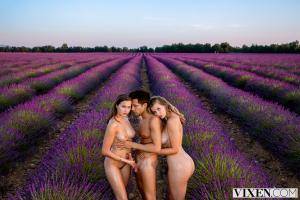 Original 3000 px/ 2000 px