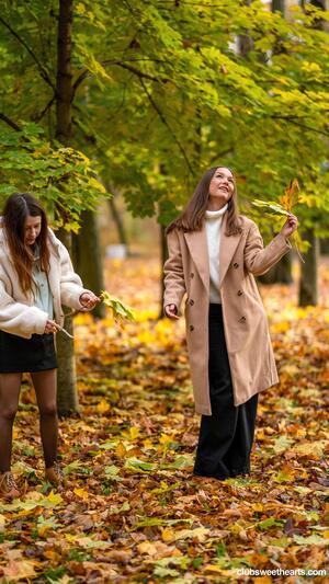 Original 3376 px/ 6000 px