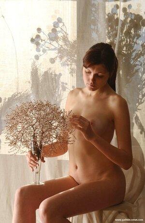 Original 781 px/ 1200 px