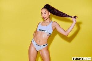 Original 1280 px/ 853 px