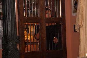 Original 2495 px/ 1663 px