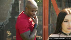 Original 2500 px/ 1406 px