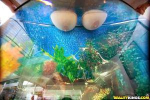 Original 900 px/ 600 px