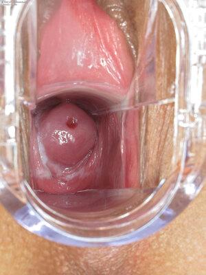 Original 1800 px/ 2400 px