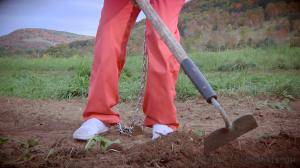 Original 1200 px/ 675 px