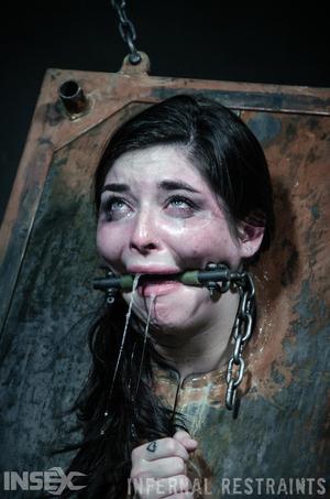 Original 795 px/ 1200 px