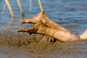 Original 3000 px/ 2008 px