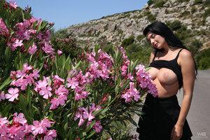 Original 5184 px/ 3456 px