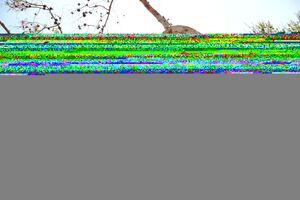 Original 3000 px/ 2000 px