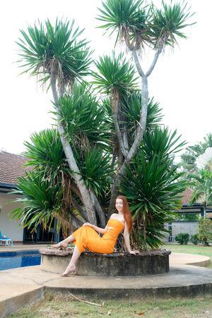 Original 3992 px/ 6000 px