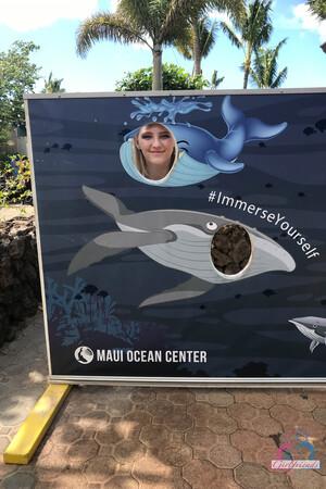 Original 2000 px/ 3000 px