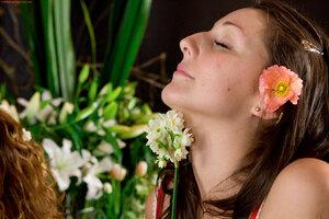 Original 3504 px/ 2336 px