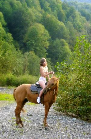 Original 1312 px/ 2000 px