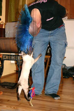 Original 1024 px/ 1536 px