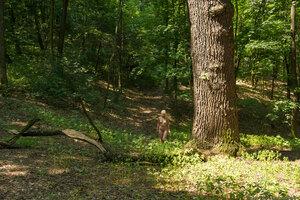 Original 2700 px/ 1800 px