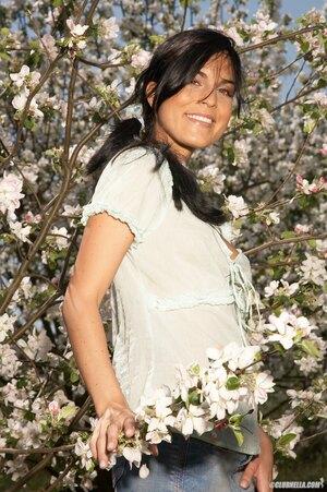 Original 1662 px/ 2500 px