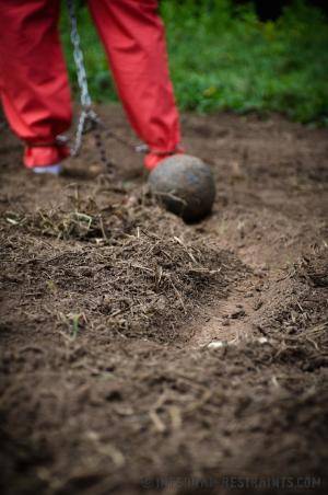 Original 795 px/ 1200 px