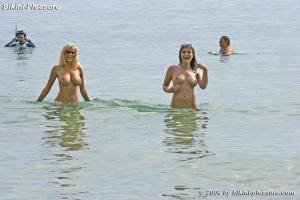 Original 1000 px/ 668 px