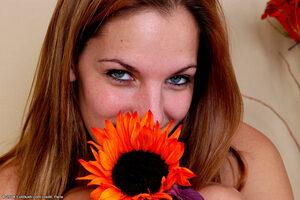 Original 1024 px/ 681 px