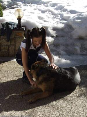 Original 1200 px/ 1600 px