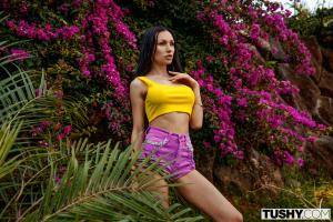 Original 3000 px/ 2000 px