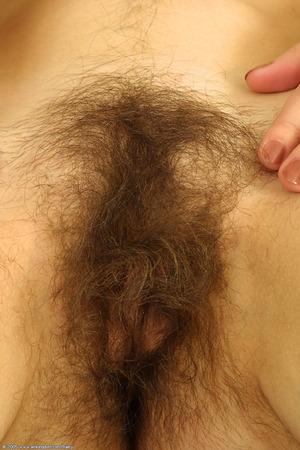 Original 682 px/ 1024 px