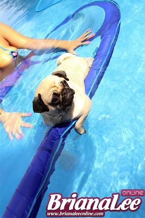 Original 768 px/ 1152 px