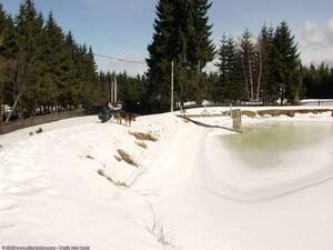 Original 1600 px/ 1200 px